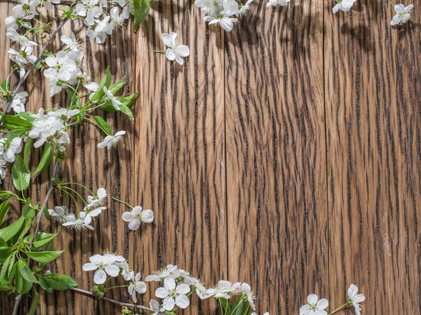 Квітуча вишнева гілка над старим дерев'яним столом
. - Фото, зображення