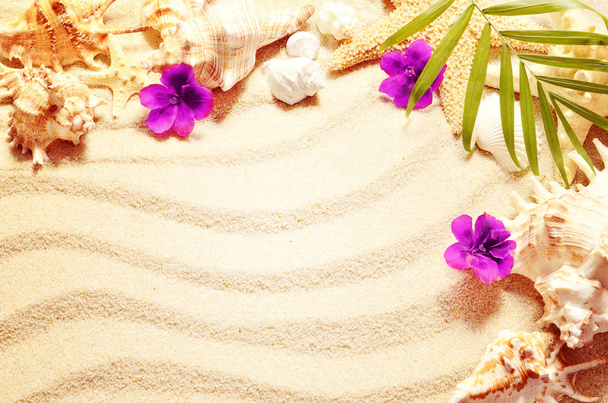 Sea shell and flowers on sand,  summer concept - Photo, Image