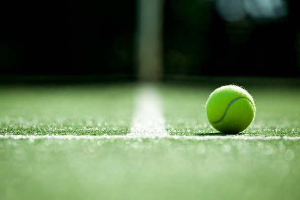 tennis ball on tennis grass court - Photo, Image