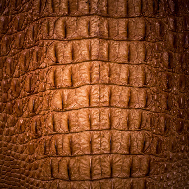 Textura de piel de cocodrilo - Foto, Imagen