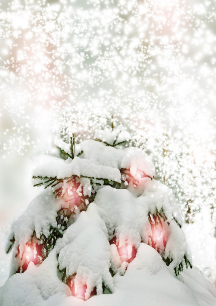 Winter Forest. Winter landscape - Photo, Image