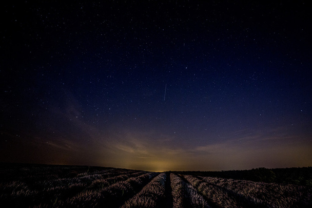 Ensimmäinen yövalo laventelipellolla
 - Valokuva, kuva