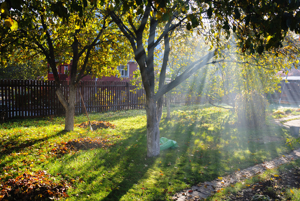 Солнечные лучи светят сквозь осенние деревья в коттеджном саду
 - Фото, изображение