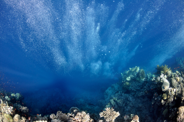 Aufwerfen von Unterwasserblasen auf einem Korallenhintergrund - Foto, Bild