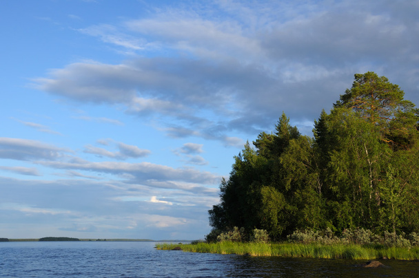 巨大な湖の北部の森島 - 写真・画像