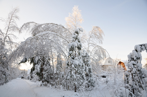 Winter cottage weergave - Foto, afbeelding