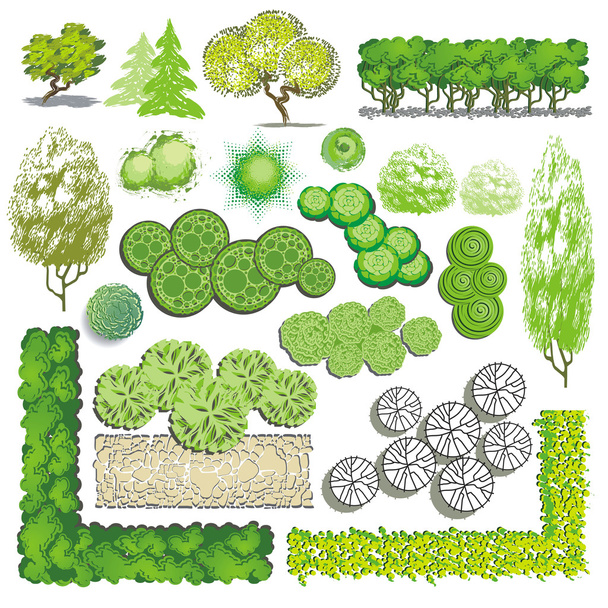 Trees and bush item for landscape design, vector icon - ベクター画像