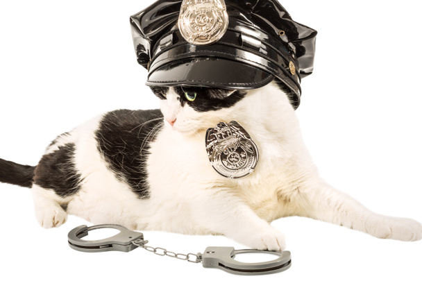 policial polícia gato
 - Foto, Imagem