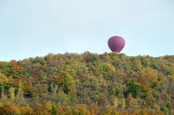 秋の気球飛行 - 写真・画像
