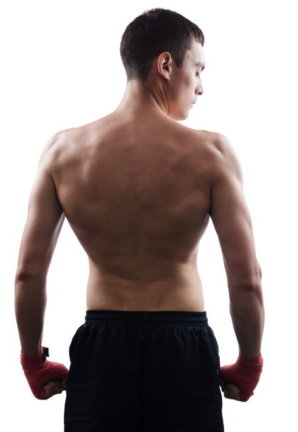 Rear view of strong young male boxer - Foto, imagen