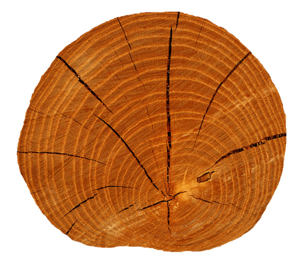 Тріщини деревини
 - Фото, зображення