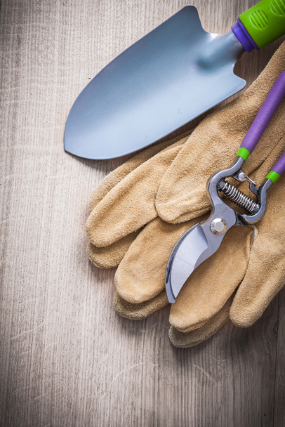 Garden pruner, hand spade and gloves - Фото, изображение