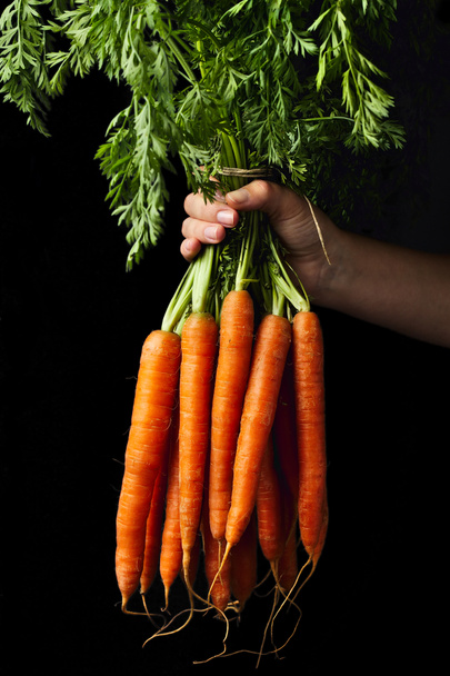 Καρότα στο χέρι - Φωτογραφία, εικόνα