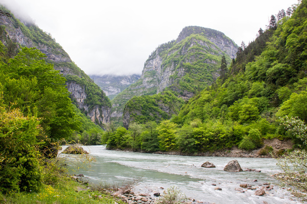 River in the forest-covered mountains. - Фото, изображение