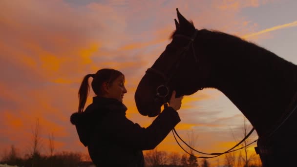 Ağır çekim: öpüşme ve atını okşayarak genç kadın - Video, Çekim