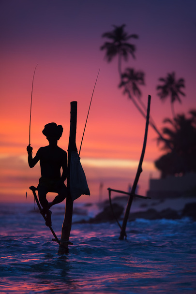 Pescador de Stilt de Sri Lanka
. - Foto, Imagen