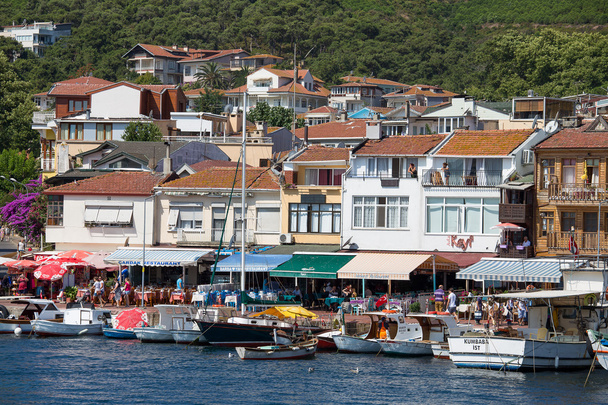 View of Princes Islands of Burgaz Adasi hillside with luxury residential housing on coast, Turkey - Fotoğraf, Görsel