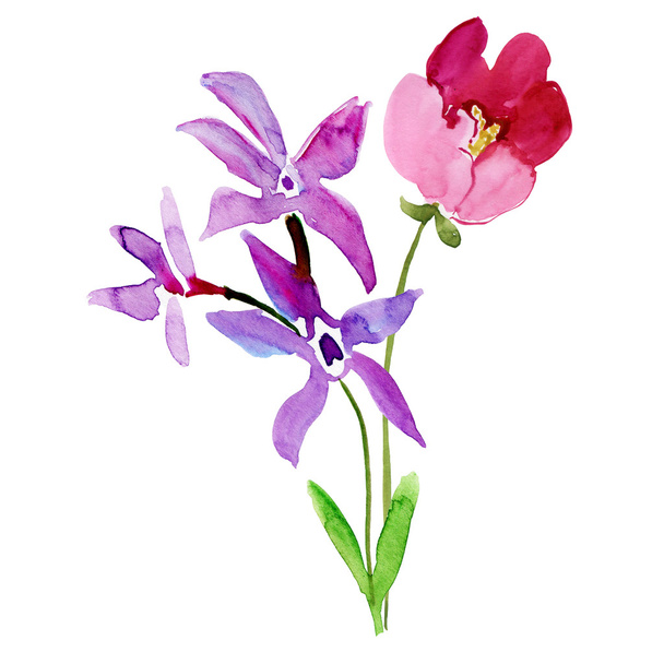 Háttér színes vadvirágok - Fotó, kép