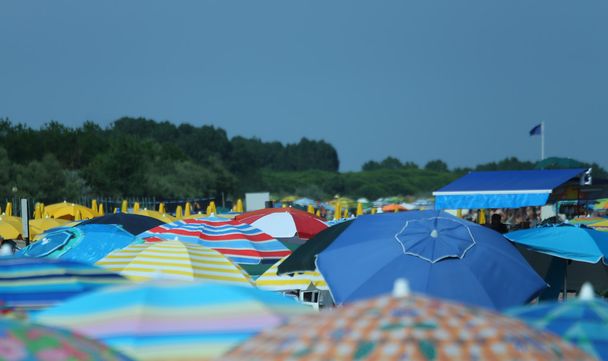 Барвисті парасольки на пляжі - Фото, зображення