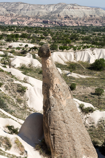 formacji skalnych, kominami w Kapadocji, Turcja - Zdjęcie, obraz