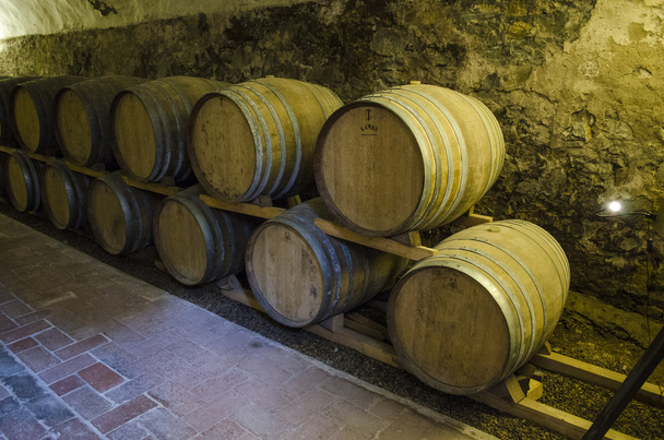 viinikellari Toscanassa
 - Valokuva, kuva