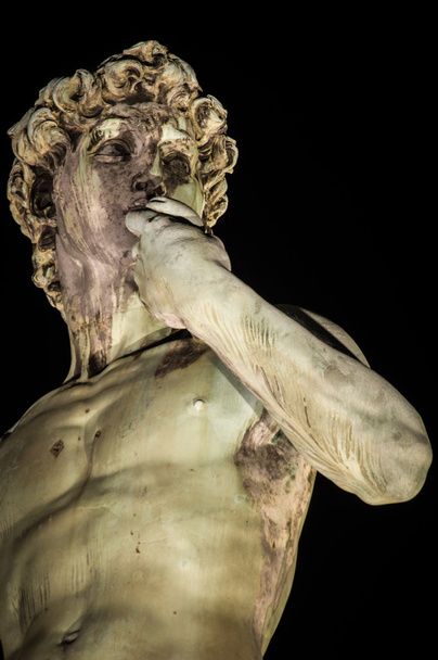 David Michelangelo, Florencie - Fotografie, Obrázek