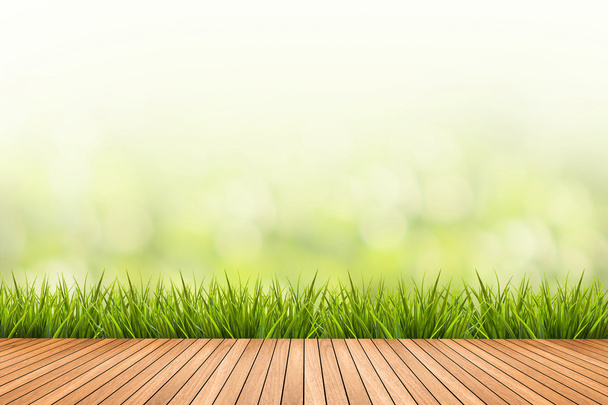 herbe avec fond vert flou et plancher de bois
 - Photo, image