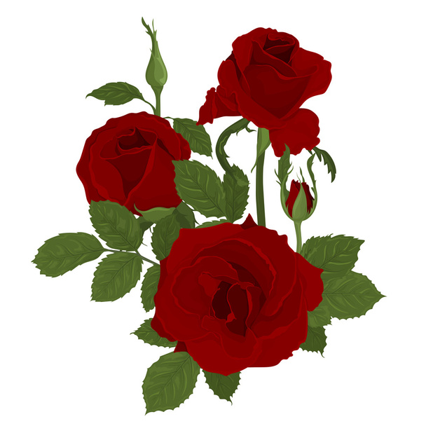 Kytice růžových růží s listy - Vektor, obrázek