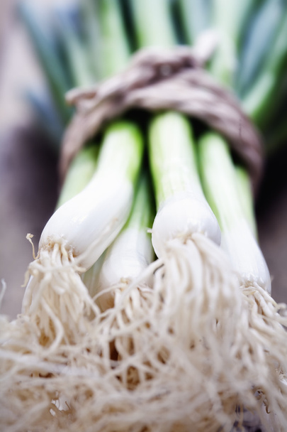 Green Onion - Φωτογραφία, εικόνα