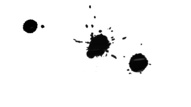 Mancha negra en blanco con salpicaduras
 - Metraje, vídeo