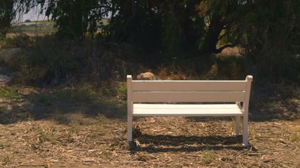 Белая скамейка в сельской местности
 - Кадры, видео