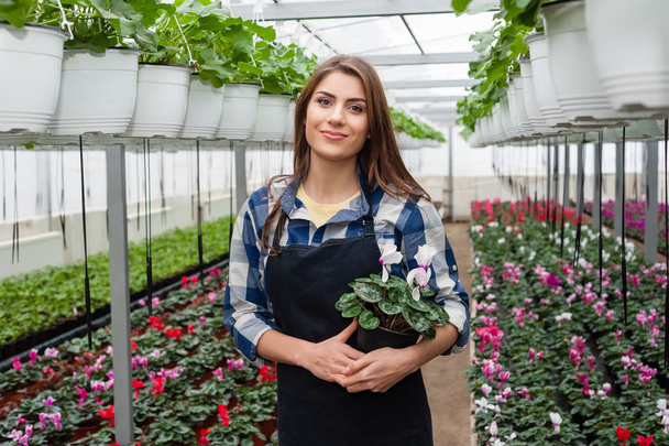 Florists woman working with flowers in a greenhouse. - Zdjęcie, obraz