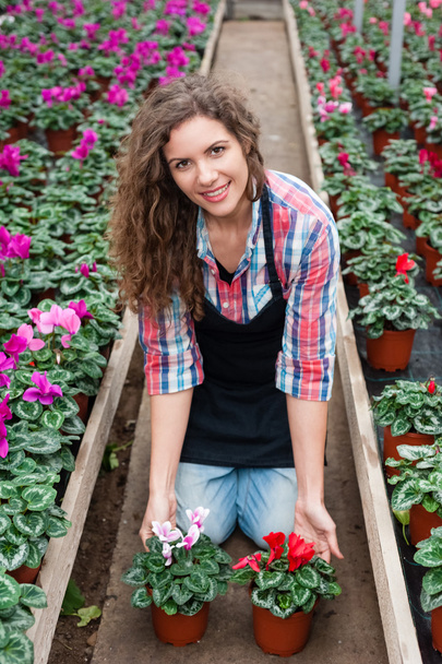 Floristas mujer trabajando con flores en un invernadero
. - Foto, imagen