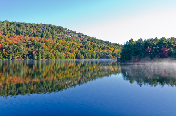 Orman göl üzerindeki gündoğumu - Fotoğraf, Görsel