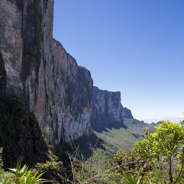 View from Roraima Tepui - Table Mountain - Triple border, Venezu - Photo, image