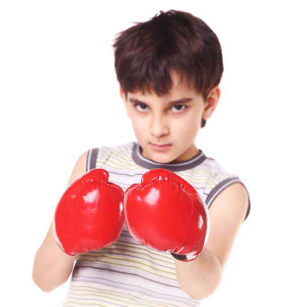 Little handsome boxer - Foto, Imagem
