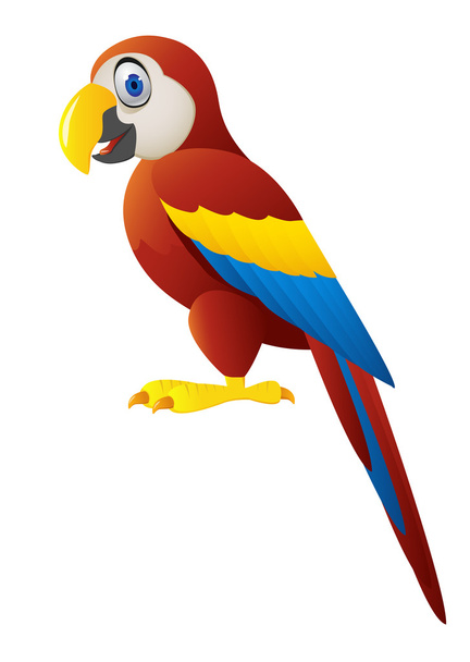 Macaw bird isolated - Vektor, obrázek