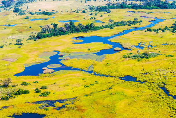 Okavango Delta aerial view - Photo, Image