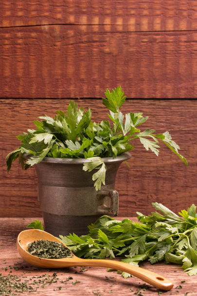parsley - Photo, Image
