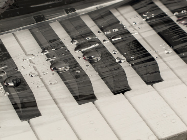 Primer plano de las teclas de piano
 - Foto, imagen