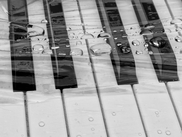 Nahaufnahme der Klaviertasten - Foto, Bild