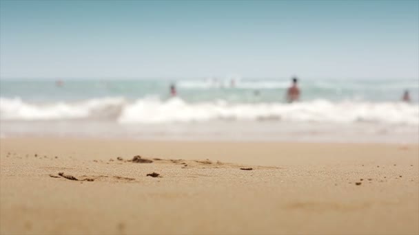 tropical beach slow motion - Кадри, відео