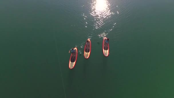 Antenne: vliegen direct boven mensen sup boarding op Bled Lake - Video