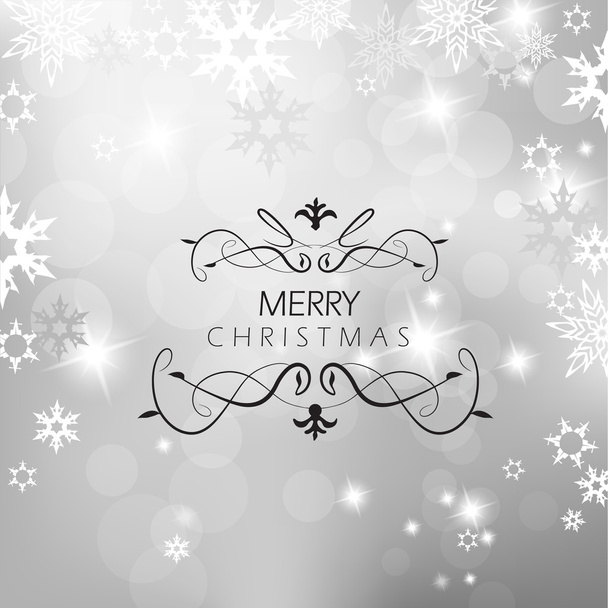 Christmas silver background with snow flakes. - Vector, afbeelding