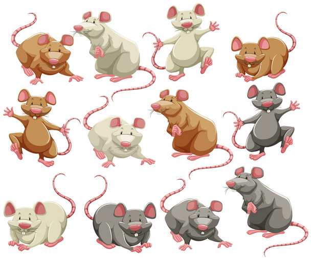 Mouse - Vector, Image