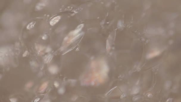 Closeup mýdlové pěny - Záběry, video