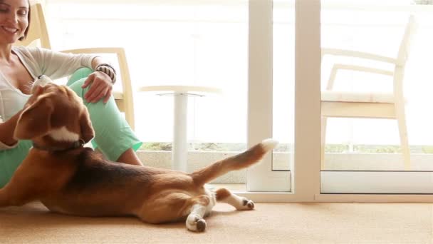 Pani czule gładząc jej pies beagle - Materiał filmowy, wideo