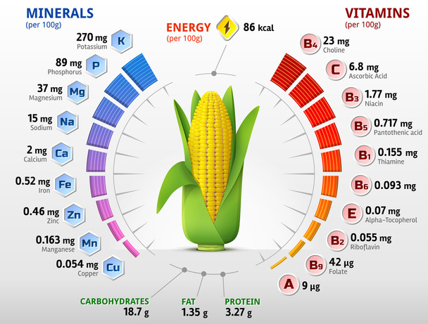 Вітаміни та мінерали кукурудзяного кобу
 - Вектор, зображення