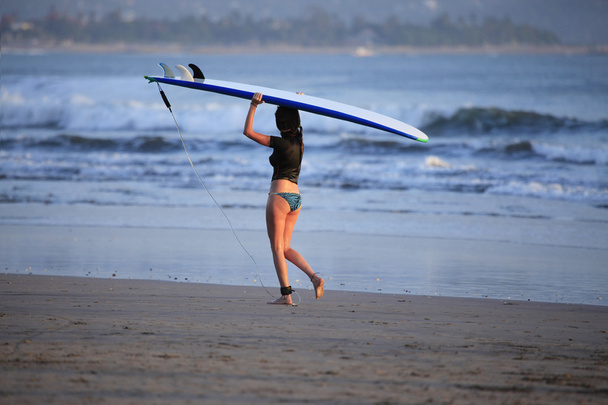 Surfistas en una costa
 - Foto, Imagen