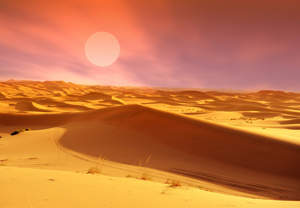 Moroccan desert dune - Фото, зображення